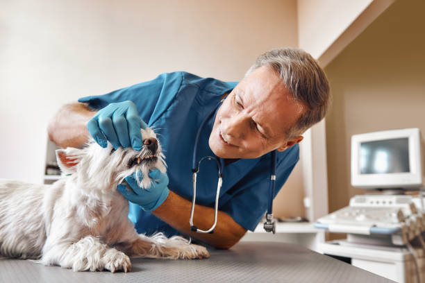 Best 24-Hour Emergency Dentist in Bloomingdale, GA